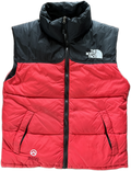 the north face vest
