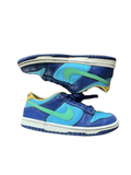 nike dunk shoes
