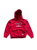vintage dale earnhardt jr #8 budweiser nascar hoodie
